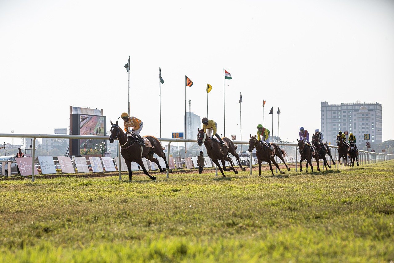 Top Indian Horse Racing Betting Review 2027: Bonus, App, Withdrawal Tested